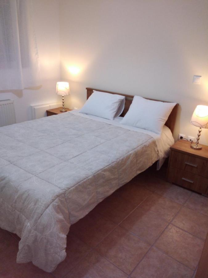Overnight Athens Airport And Raphina Port Apartment Artemida  Esterno foto